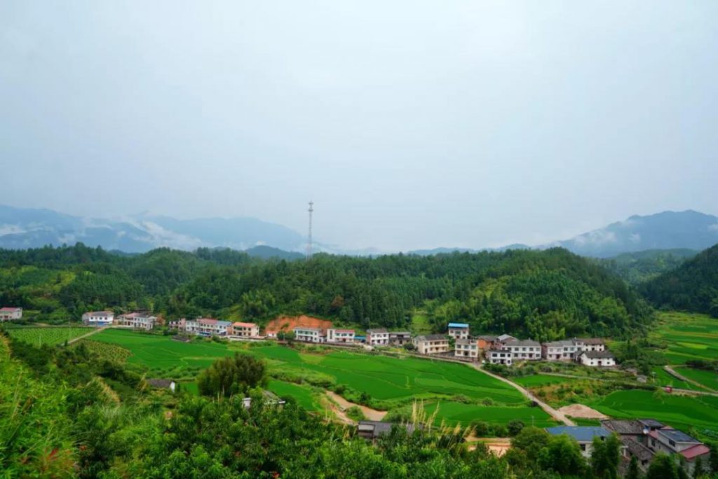 鲸灵甩甩宝宝“寻味中国”走进湖南炎陵助力农产品上行